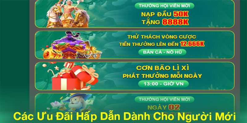 Các Ưu Đãi Hấp Dẫn Dành Cho Người Mới 